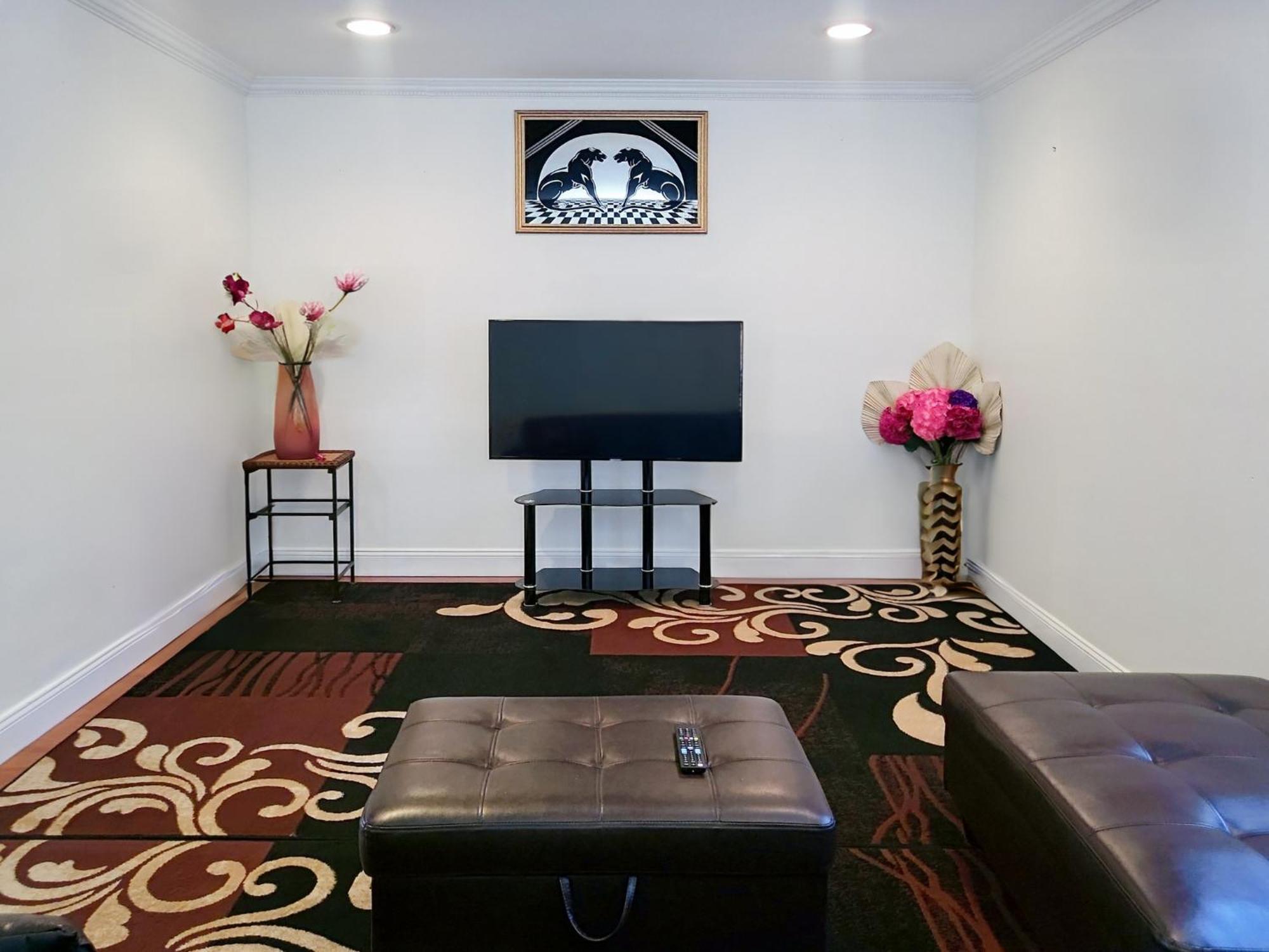 אלכסנדריה Modern Comfort Stays מראה חיצוני תמונה