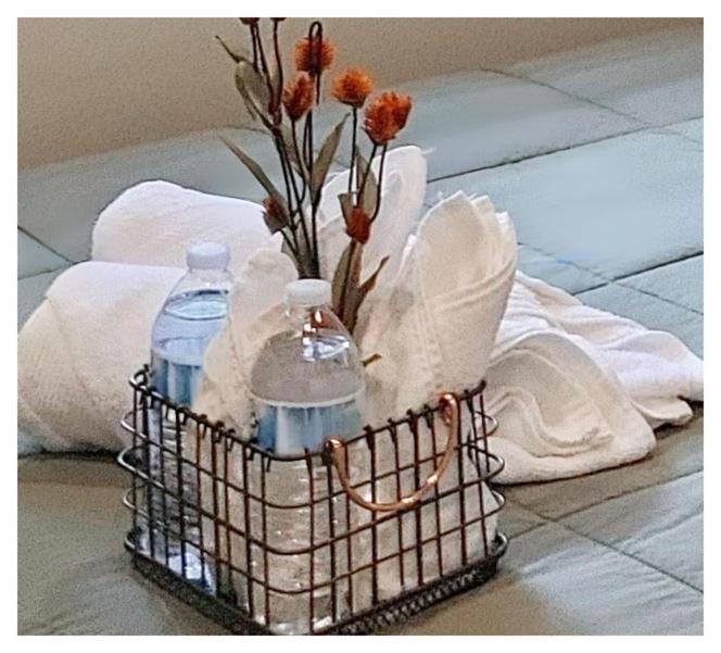אלכסנדריה Modern Comfort Stays מראה חיצוני תמונה